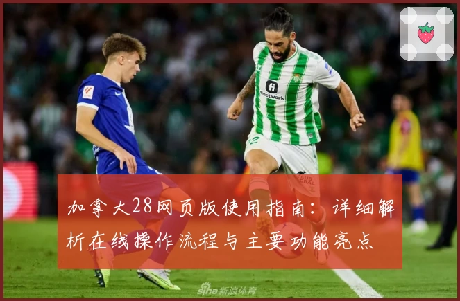 加拿大28网页版使用指南：详细解析在线操作流程与主要功能亮点