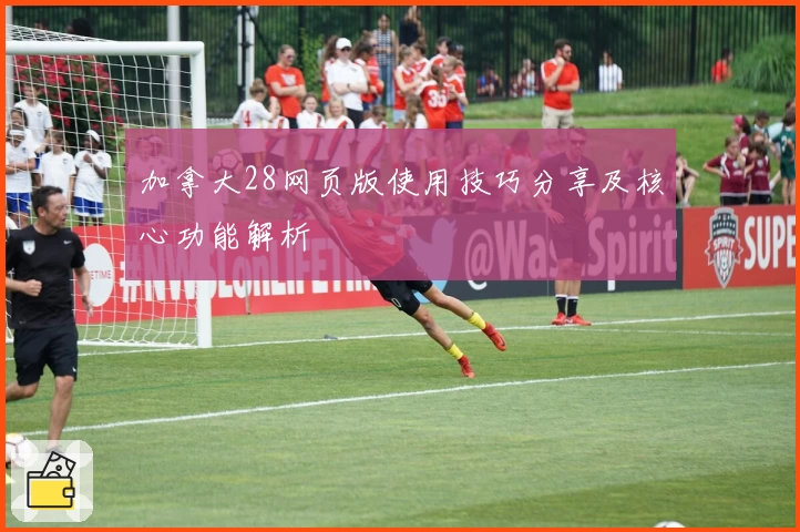 加拿大28网页版使用技巧分享及核心功能解析
