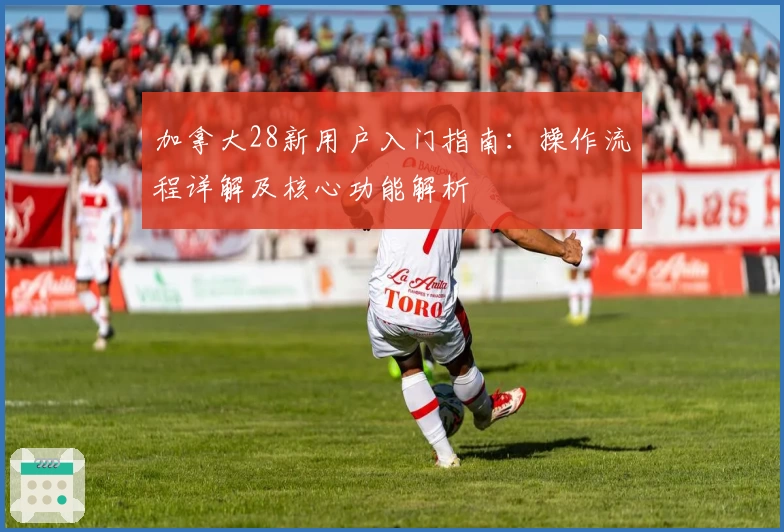 加拿大28新用户入门指南：操作流程详解及核心功能解析