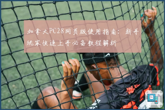 加拿大PC28网页版使用指南：新手玩家快速上手必备教程解析