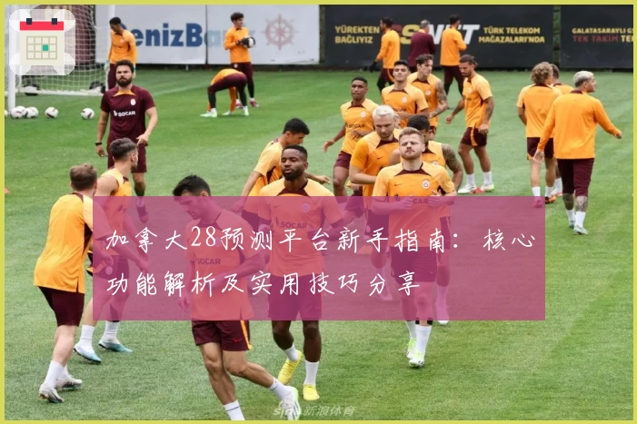 加拿大28预测平台新手指南：核心功能解析及实用技巧分享