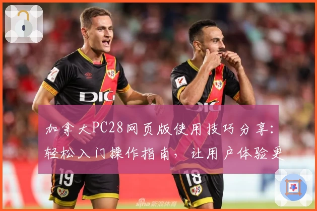 加拿大PC28网页版使用技巧分享：轻松入门操作指南，让用户体验更流畅