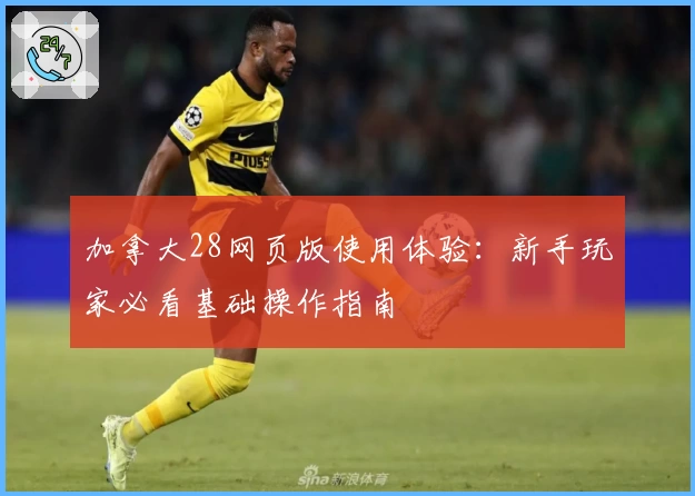 加拿大28网页版使用体验：新手玩家必看基础操作指南