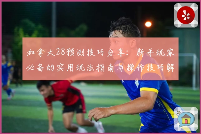加拿大28预测技巧分享：新手玩家必备的实用玩法指南与操作技巧解析