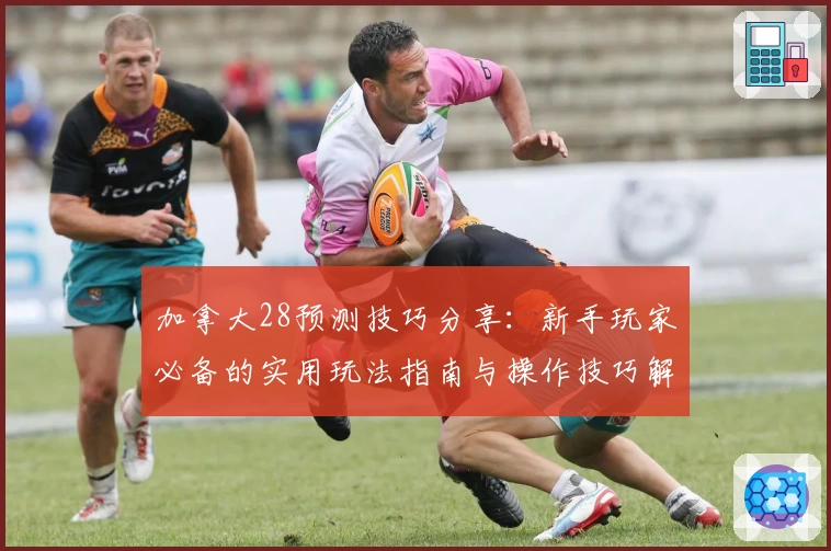 加拿大28预测技巧分享：新手玩家必备的实用玩法指南与操作技巧解析