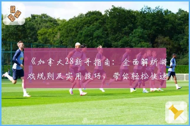 《加拿大28新手指南：全面解析游戏规则及实用技巧，带你轻松快速入门》