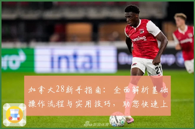 加拿大28新手指南：全面解析基础操作流程与实用技巧，助您快速上手稳定体验