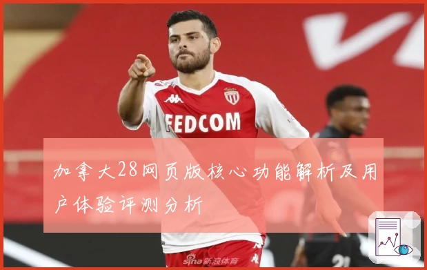 加拿大28网页版核心功能解析及用户体验评测分析