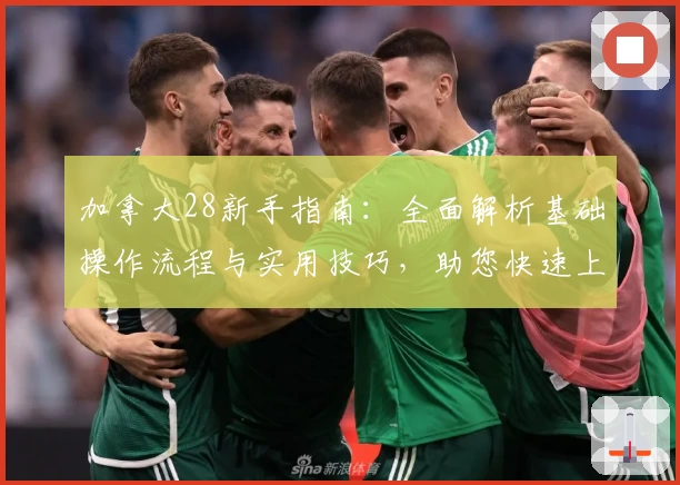 加拿大28新手指南：全面解析基础操作流程与实用技巧，助您快速上手稳定体验