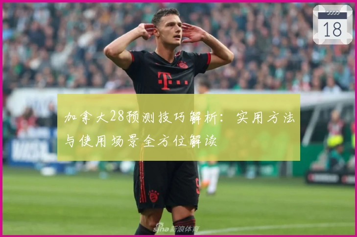 加拿大28预测技巧解析：实用方法与使用场景全方位解读